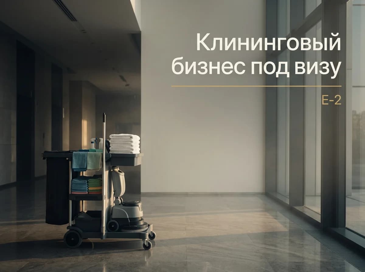Обложка модели: Клининговый бизнес